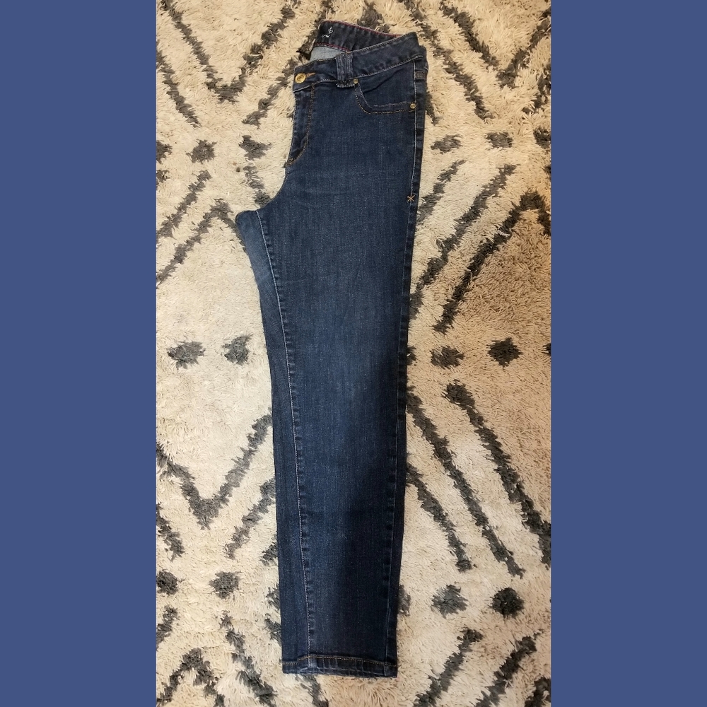 Lane Bryant Jeggings - Size 14
